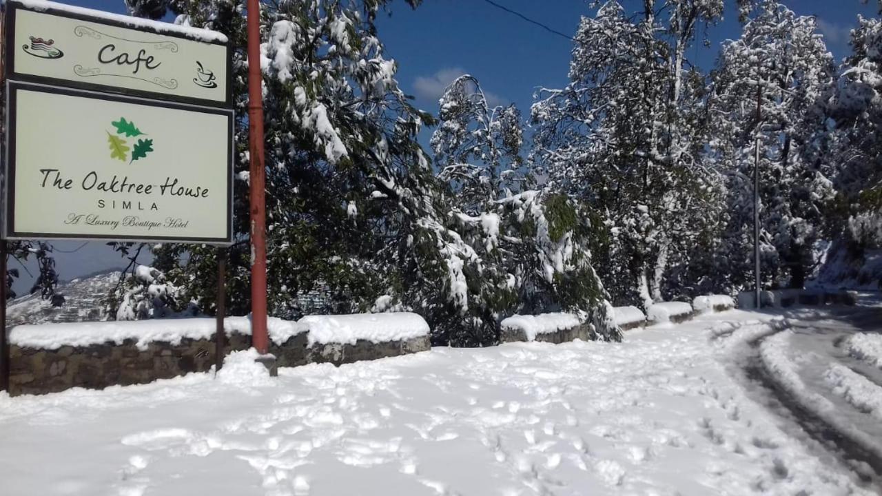 The Oaktree House Hotel Shimla Luaran gambar